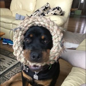 Meet your Posher, Lucie